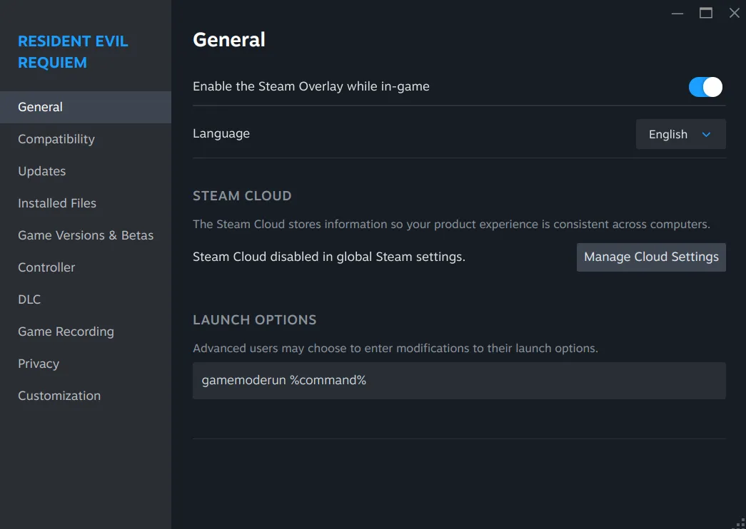 Steam Launch Options